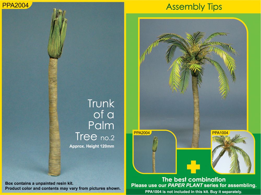 trunk-of-a-palm-tree-no-2